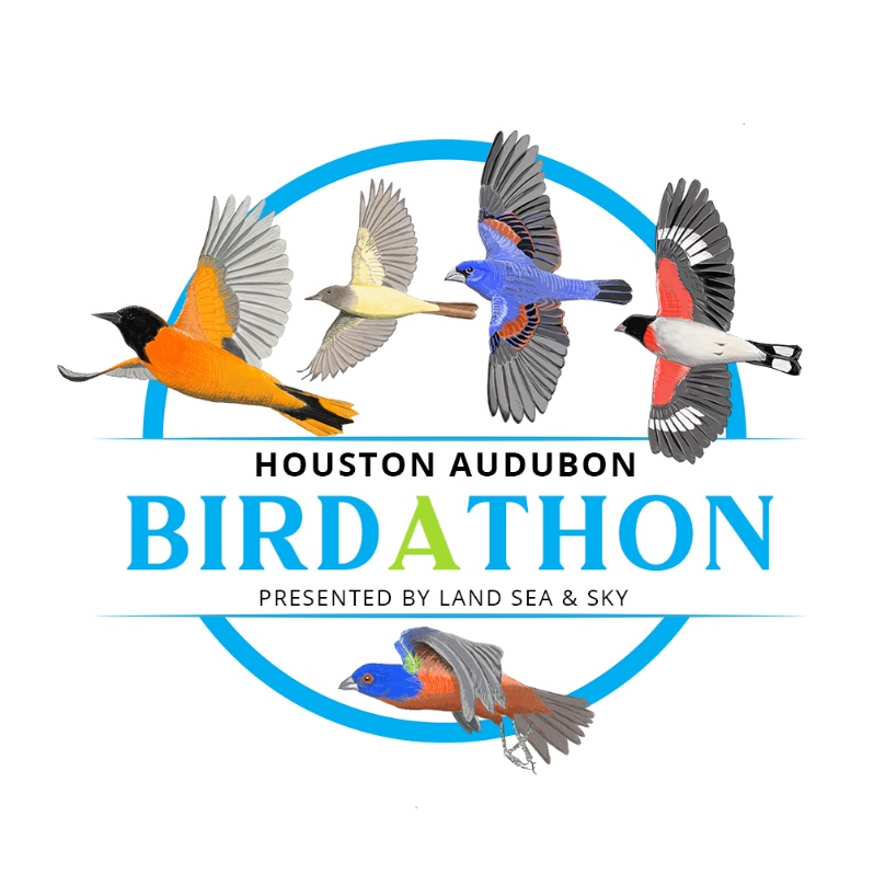 Fundraising Header image