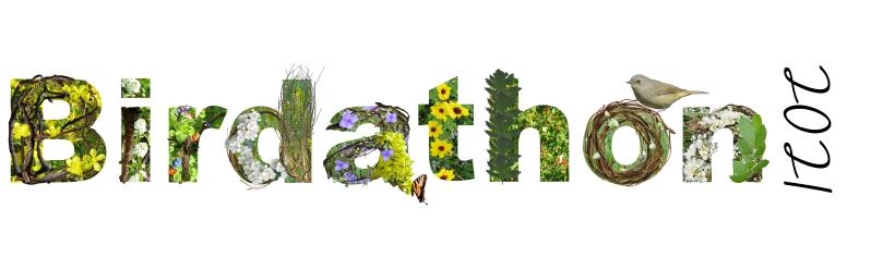 Fundraising Header image