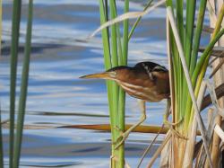 Fundraising Page Image