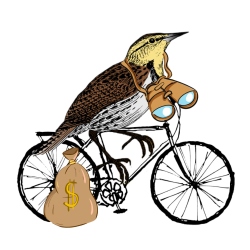 Fundraising Page Image