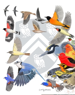 Fundraising Page Image