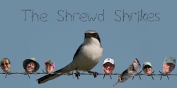 Fundraising Page Image