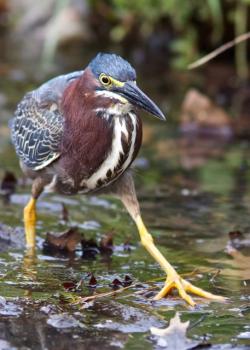 Fundraising Page Image