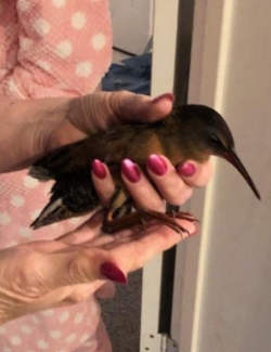 Fundraising Page Image