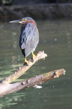 Fundraising Page Image