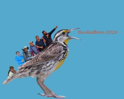 Fundraising Page Image