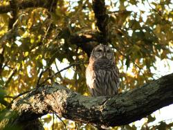 Fundraising Page Image