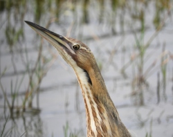 Fundraising Page Image