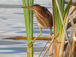 Fundraising Page Image