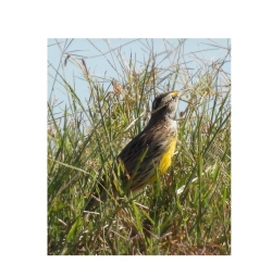 Fundraising Page Image