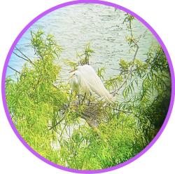 Fundraising Page Image