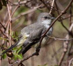 Fundraising Page Image